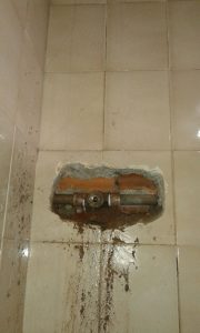 85c1c047-6846-4b5f-862f-43dbd904fbb3