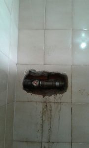 b182eddc-b1ca-4b2c-a5ec-07258ce76ff7