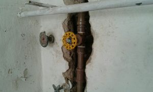 e0882c10-b84c-40cf-8ef7-3c1e361c7806