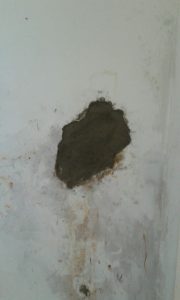 ef96c038-4531-4b1c-a355-f1a2a108f9d9