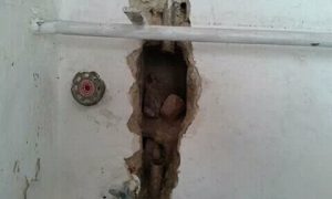 f88a6eac-a375-4ea5-84fc-60bf6591ae00